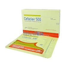 Cefaclav 500